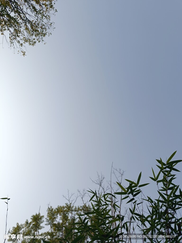 蓝天绿树间的清新景致