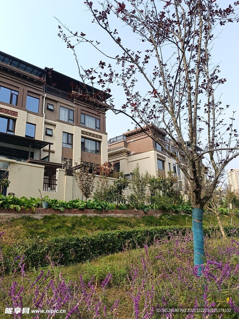 花园式住宅旁的烂漫景致