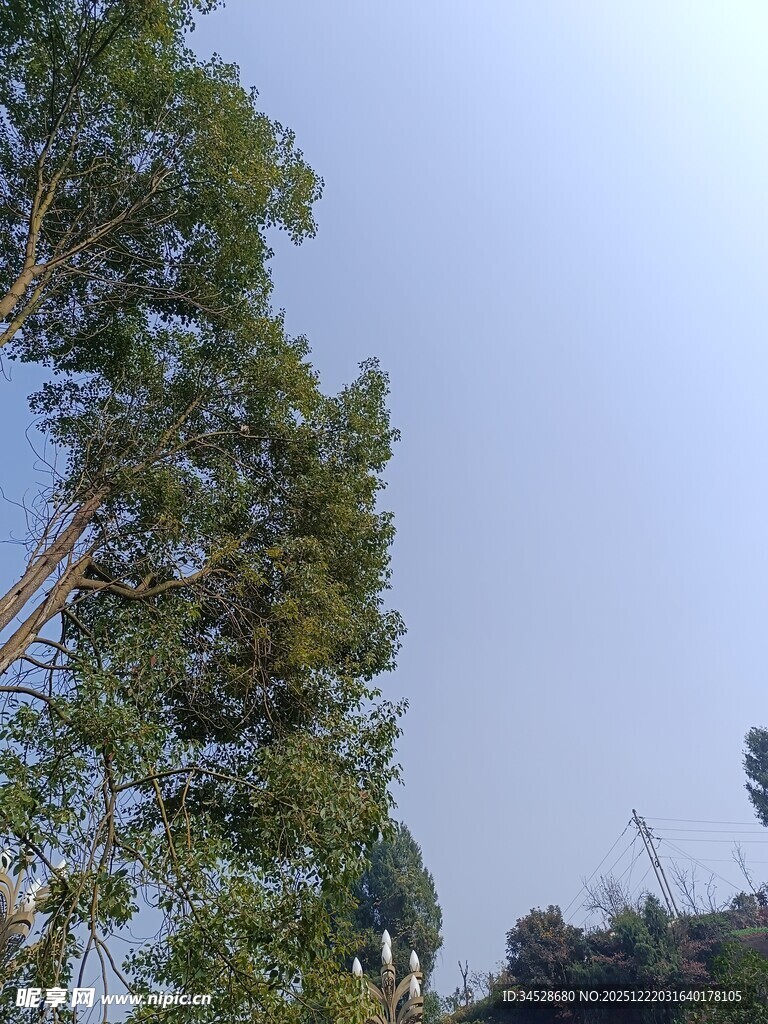 蓝天绿树自然风光