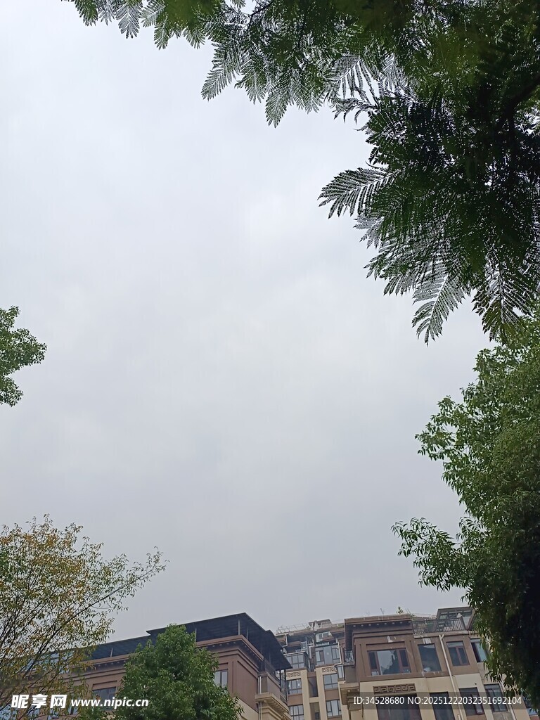绿树掩映下的城市建筑