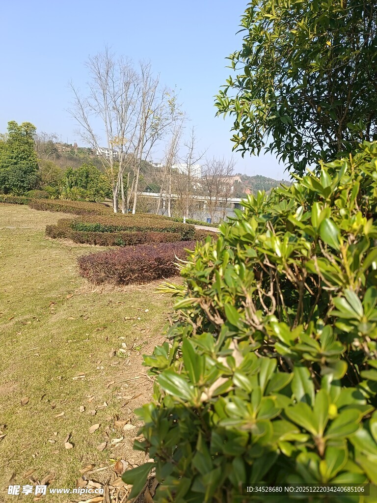 户外绿意盎然的自然景致