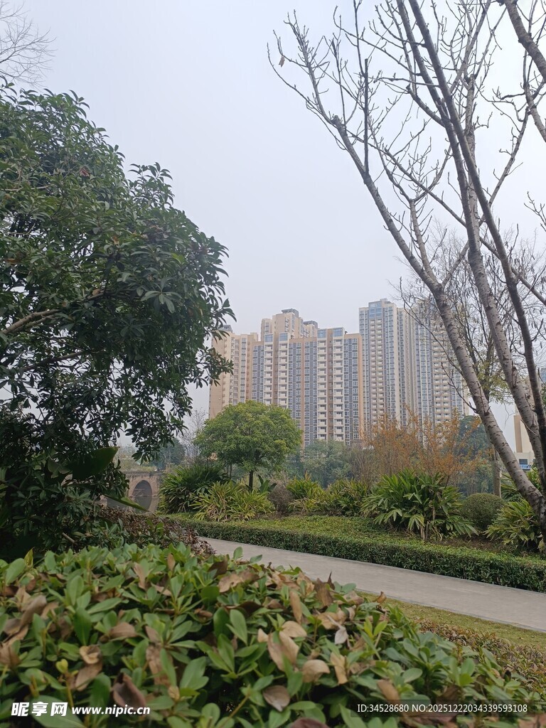 城市中的静谧绿植小路