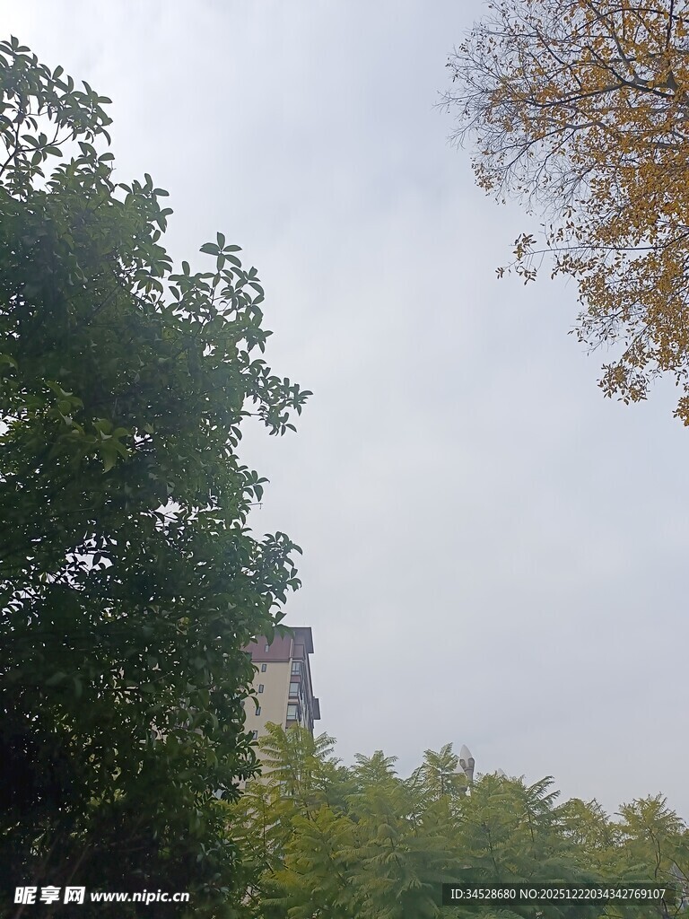 林间隐约可见的高塔