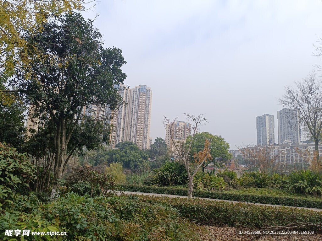 城市中的绿意景观