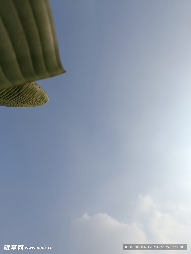 蓝天绿叶间的阳光景象