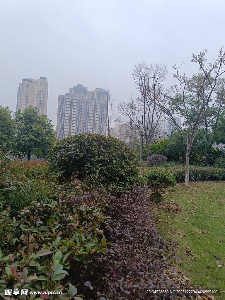 城市公园中的绿植景观