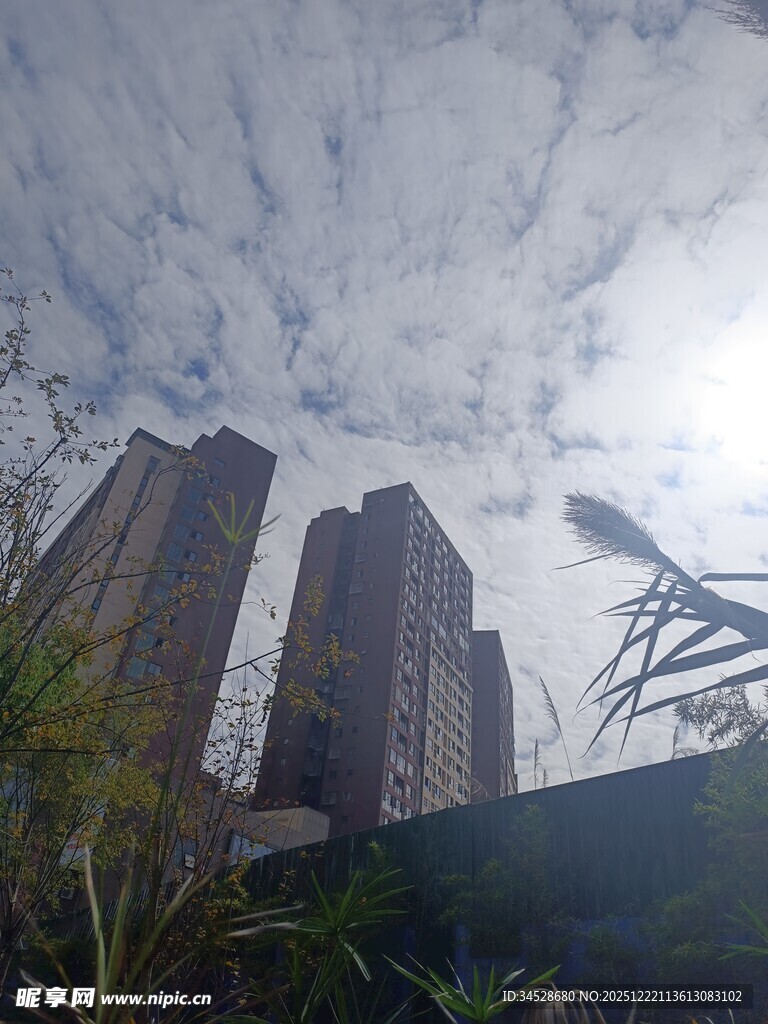 高楼之上的天空景致