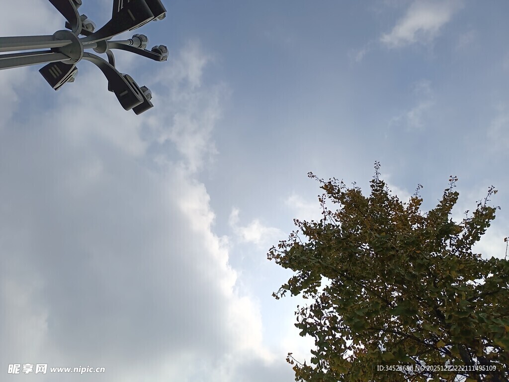 天空下的风车与树木