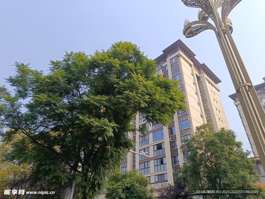 城市中的高楼与绿植景观