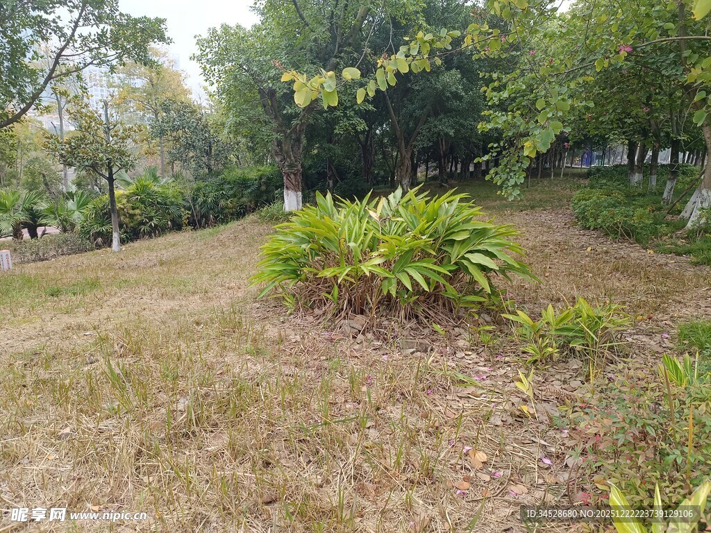 户外草地绿植景观