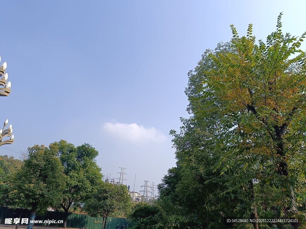 户外绿树蓝天景致