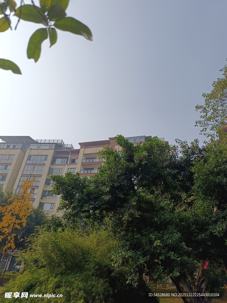 绿树掩映下的高层住宅