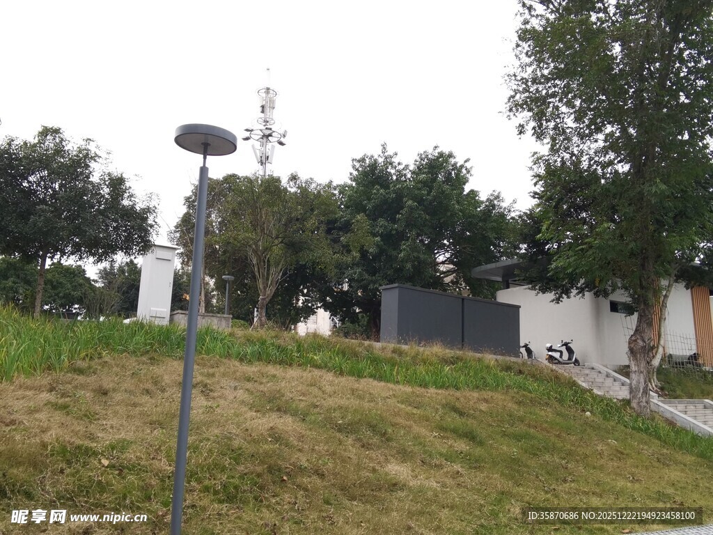 户外草地旁的房屋景象