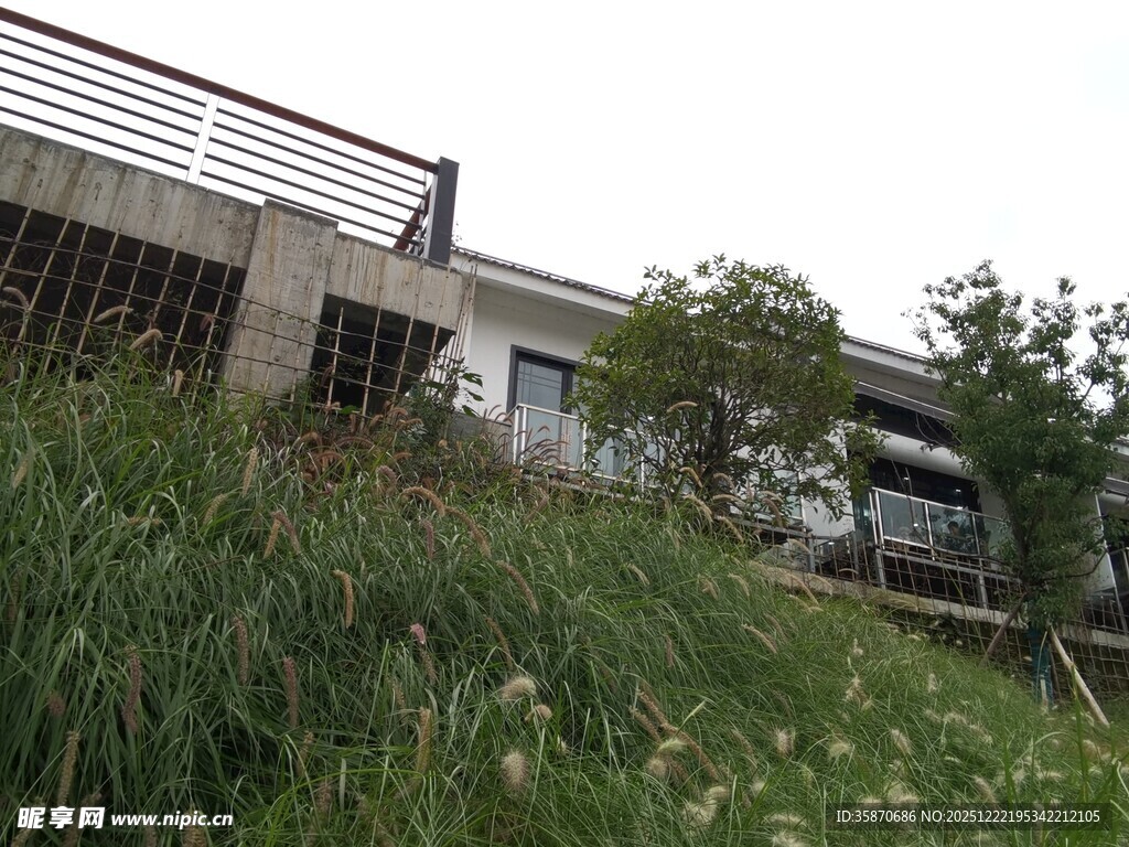 户外绿植旁的灰白建筑