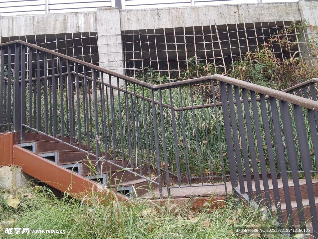 废弃铁楼梯与周边杂草