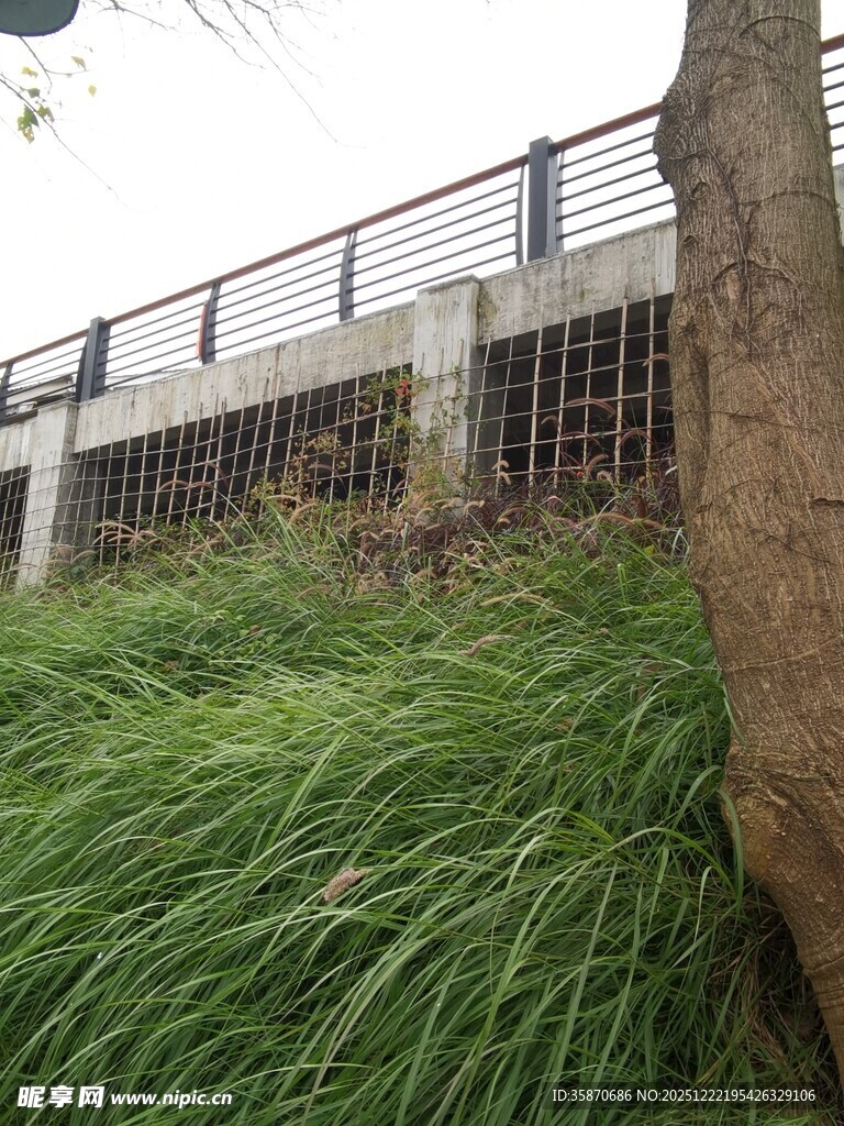 户外草地旁的建筑围栏