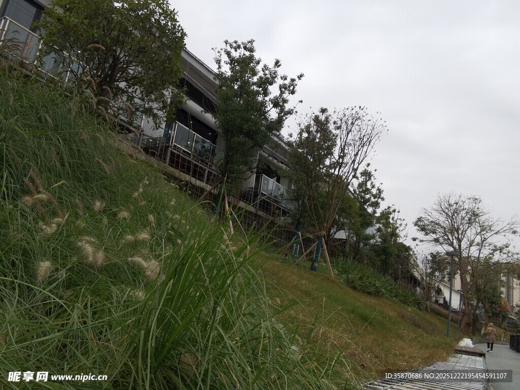 户外草地旁的建筑景观