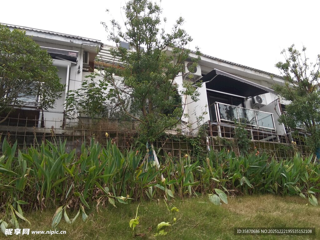 乡村庭院绿植环绕的房屋