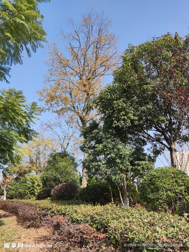 户外绿意盎然的园林景观