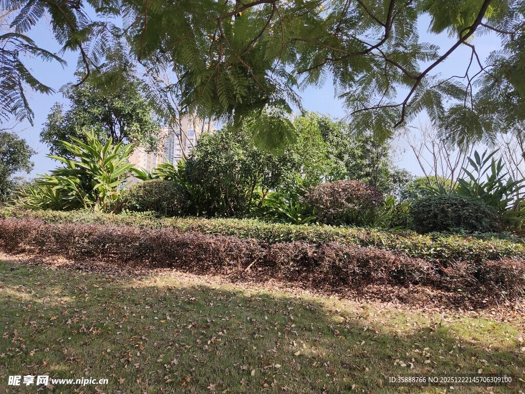 绿意盎然的户外园林景观