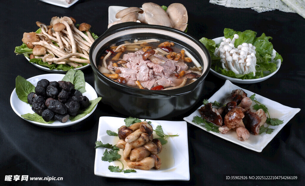 煲仔锅菜品野菌牛肉煲