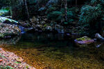山林间清澈静谧的小水潭