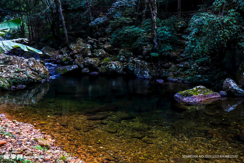 山林间清澈静谧的小水潭