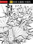 黑白荷花线描图案