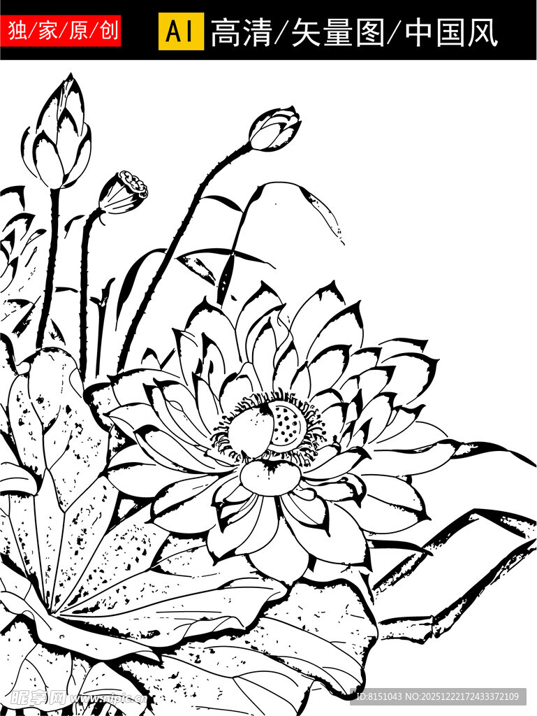 黑白荷花线稿图