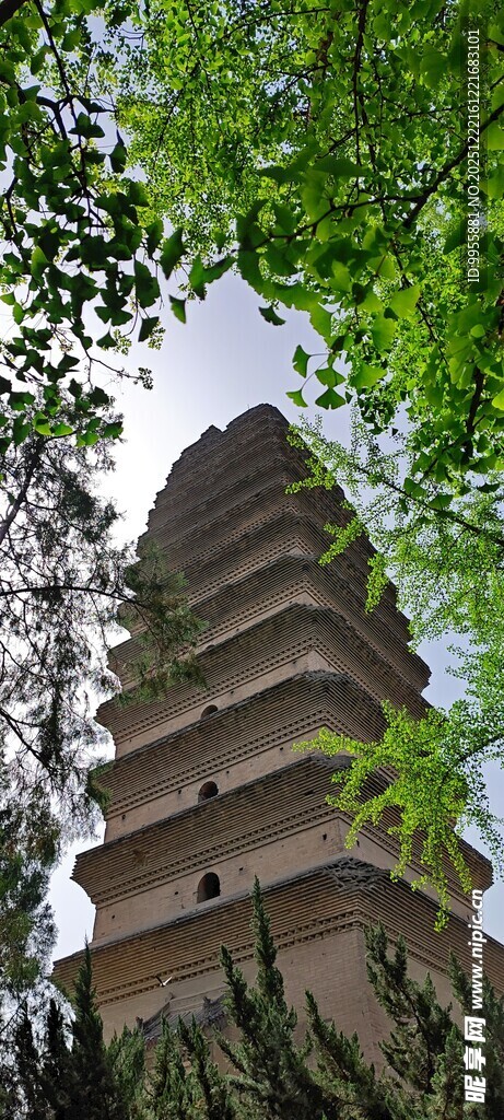 陕西西安古塔隐于绿树间