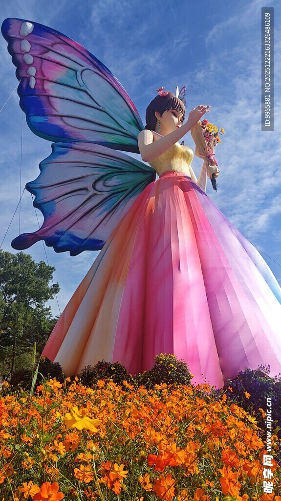 广东中山小花田中的梦幻蝴蝶仙子