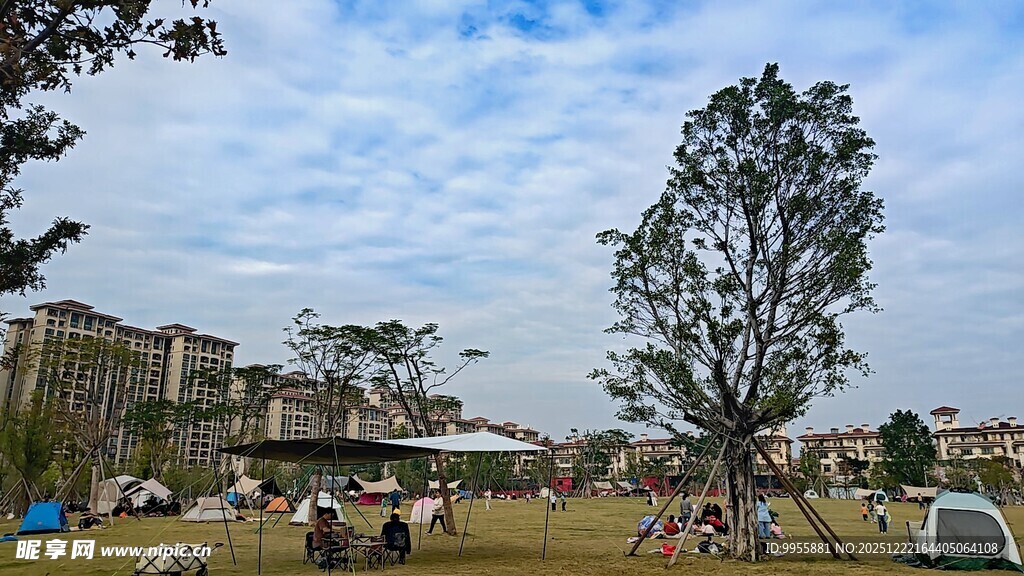 广东珠海中户外草地休闲活动场景
