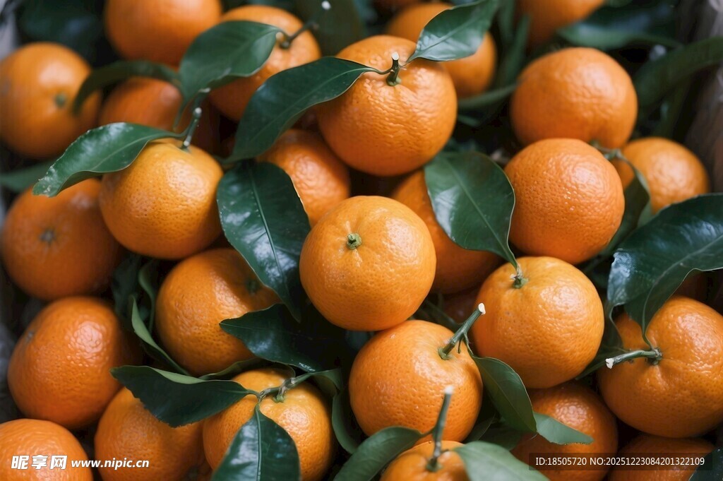 饱满橘子带叶堆成小山