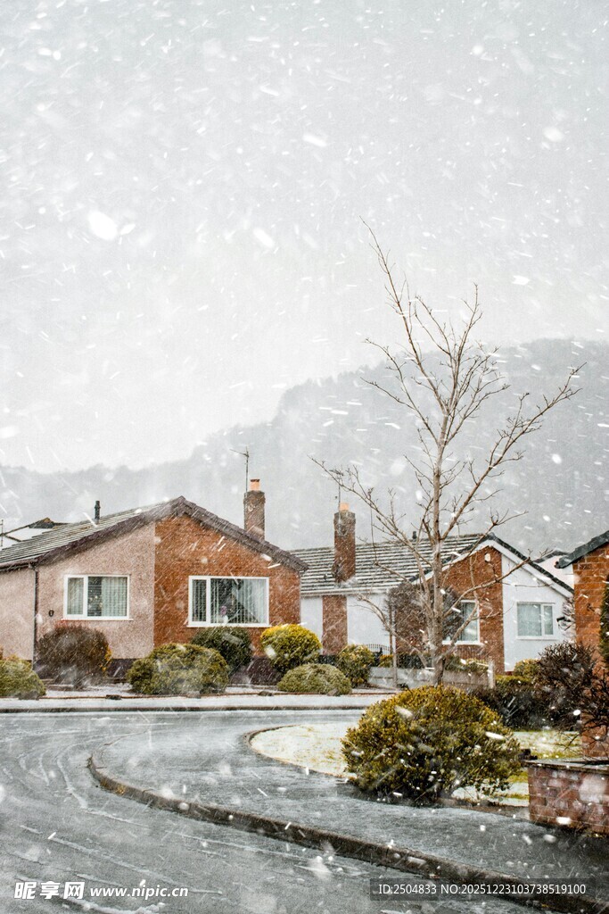 雪天中的温馨住宅区