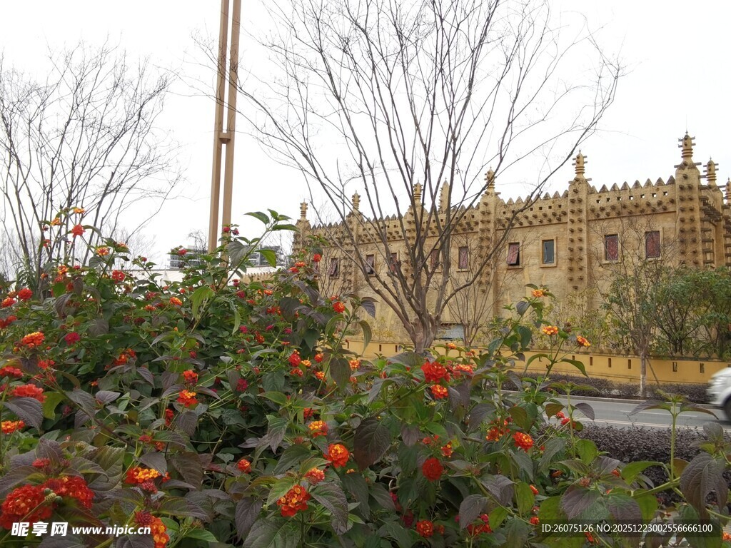 繁花簇拥下的古典建筑