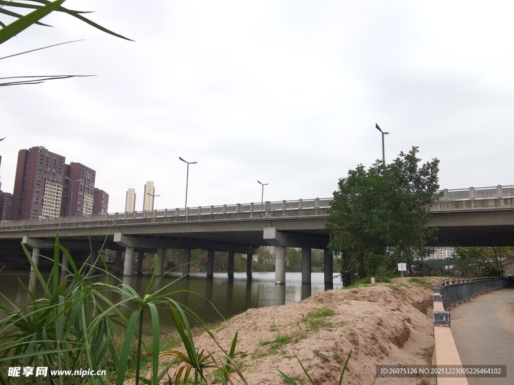 城市河畔桥梁风景