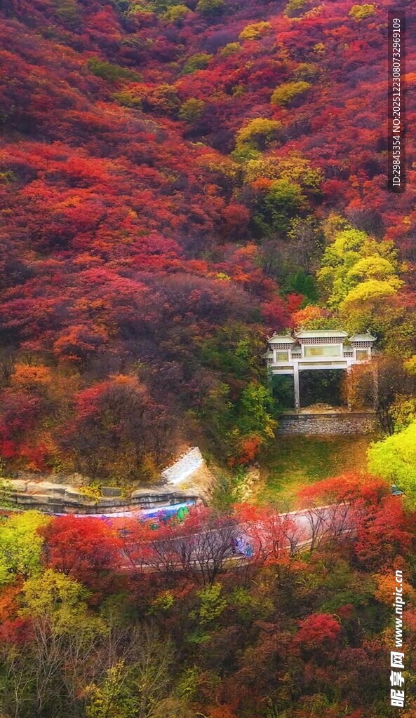 山间秋景中的雅致小屋
