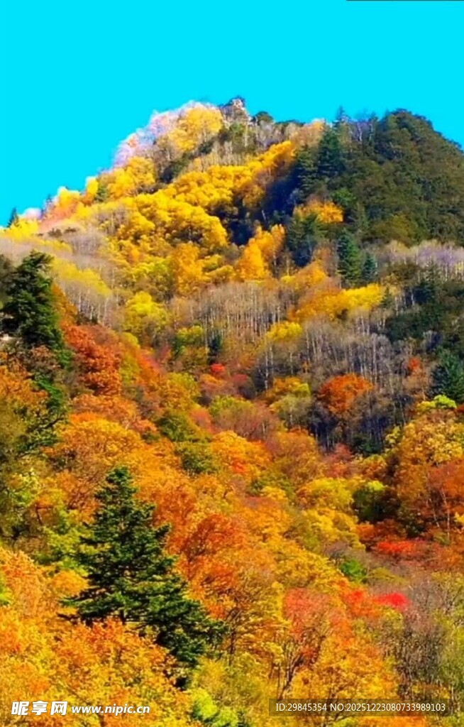 秋日山林斑斓美景