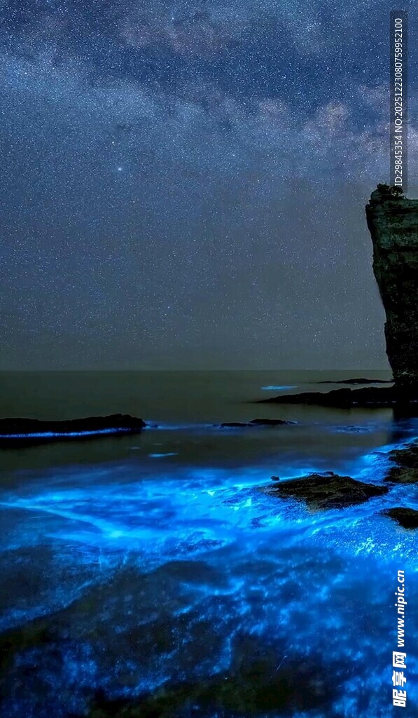 蓝眼泪海滩夜景奇观