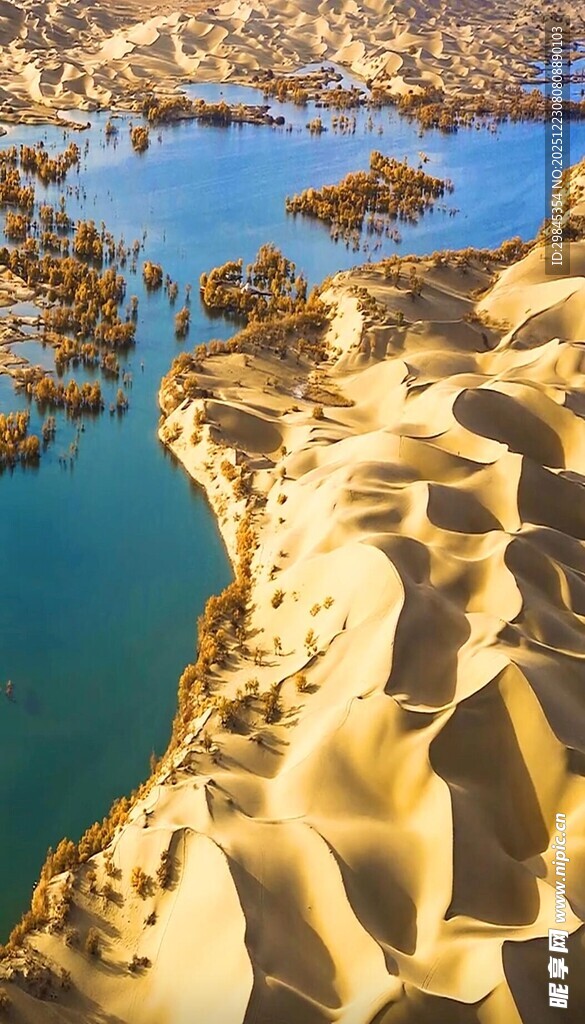 沙漠中的蓝色水域奇观