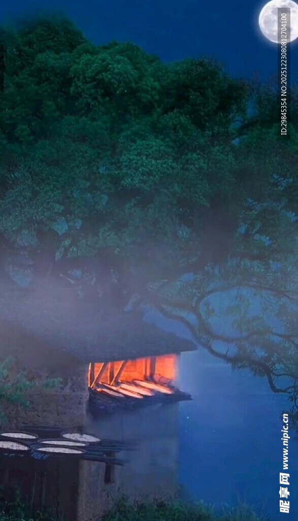 月夜下的老虎与静谧山林