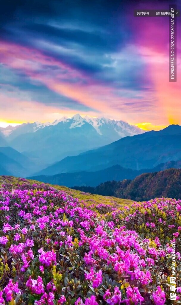 花海映彩霞的壮美山景