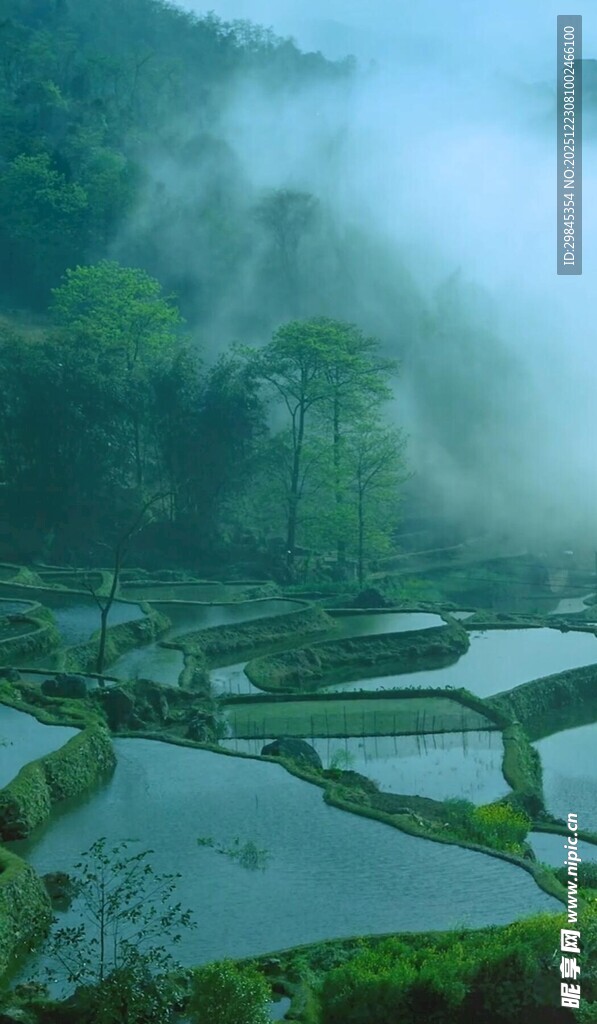 云雾缭绕的山间梯田美景