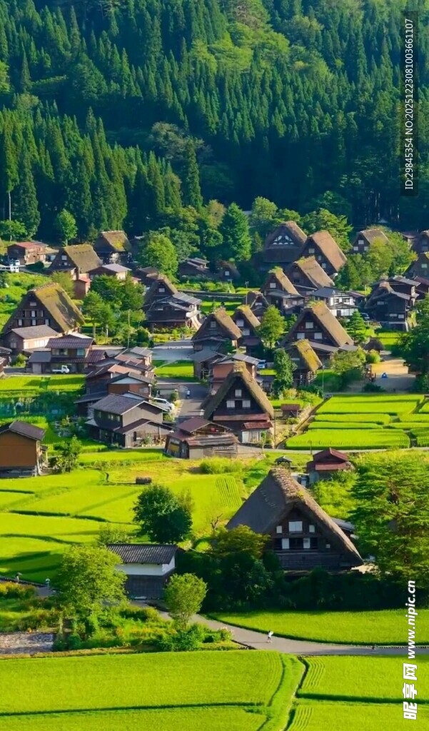 日本乡村合掌屋田园风光