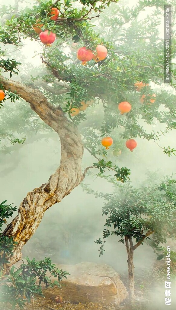 国画中硕果累累的石榴树