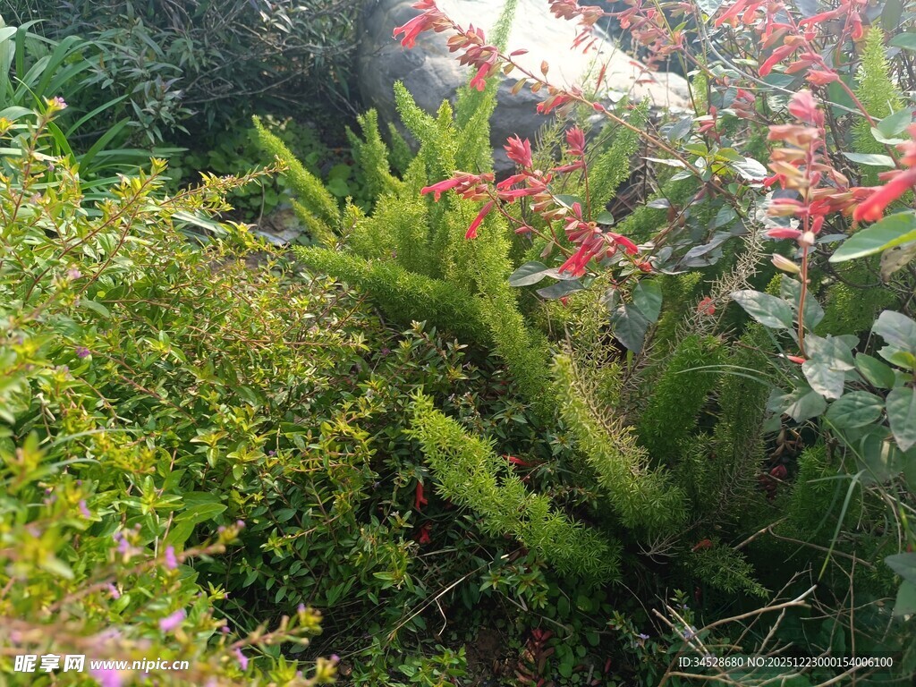 多彩花卉绿植景观