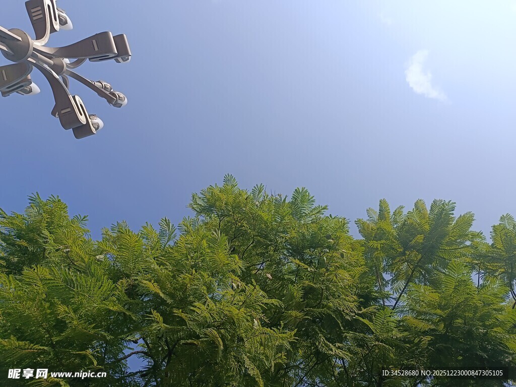 蓝天绿树间的金属雕塑