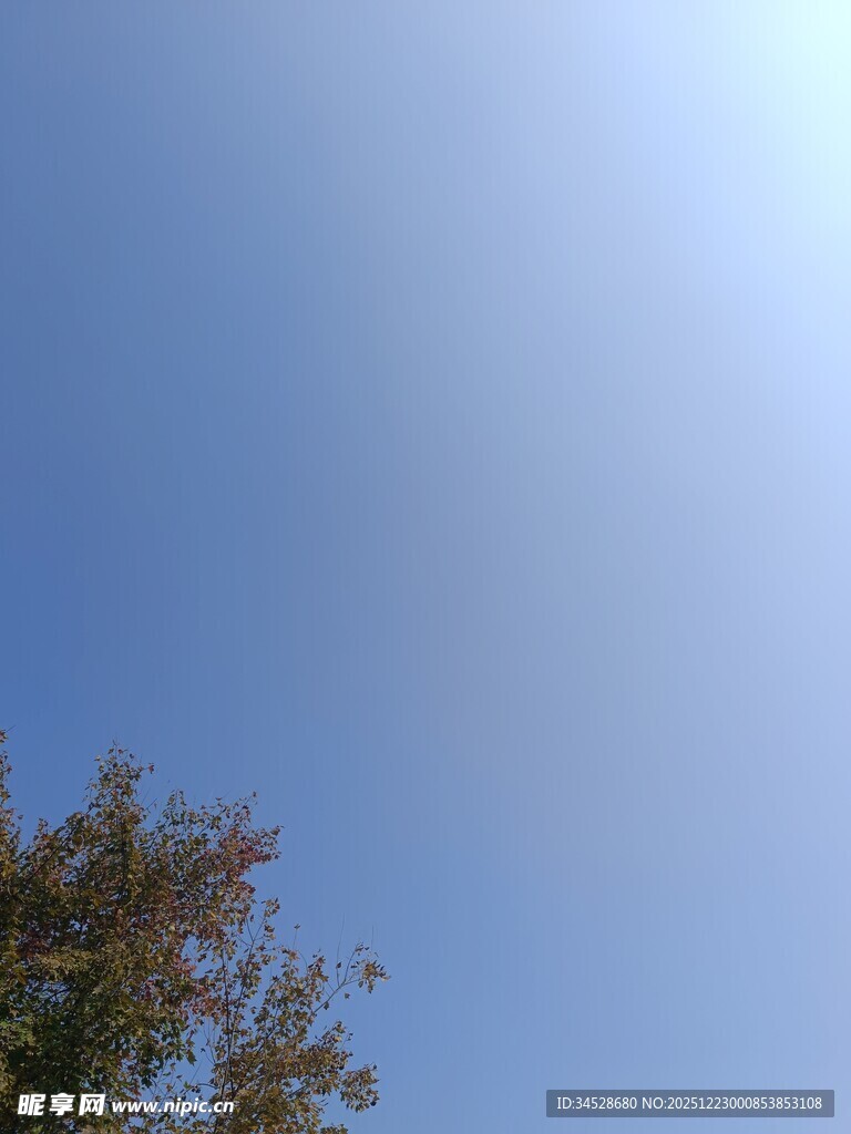 蓝天绿树的清新景致