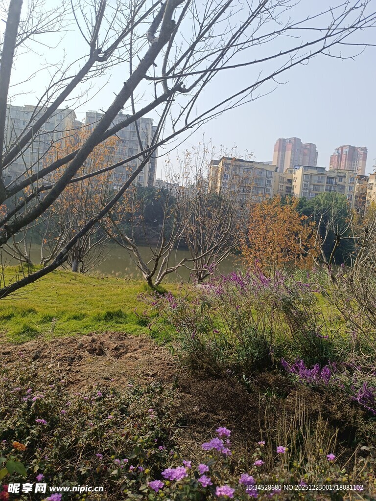 城郊野景中的花草与建筑