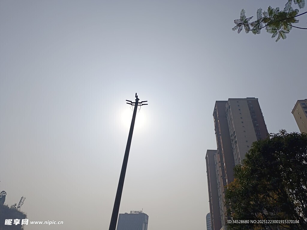 城市中阳光下的路灯与高楼